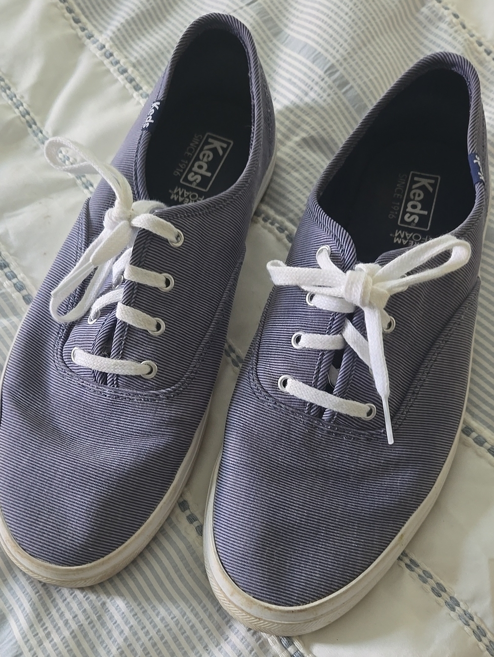 Keds Women's Canvas Sneakers in Navy Blue with White Laces